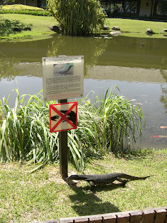 CIMG5665 - Farliga djur på Borneo