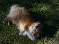 lindas+land+028 - Lindas kost och träningsplan