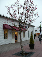 CIMG6066 - På jakt efter träningsskor