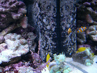 CIMG6130 - Trevlig tjejmiddag hos Anne