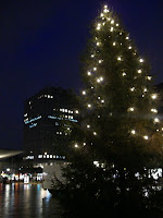 CIMG6157 - Julmysigt på min morgonpromenad