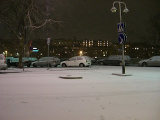 CIMG6338 - Snöig promenad och konditionsträning