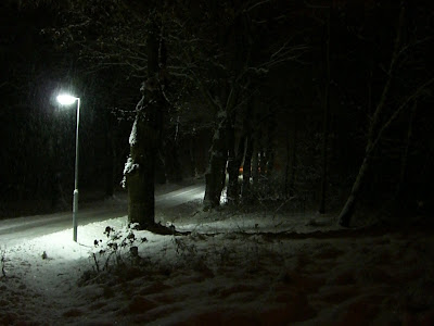 CIMG6347 - Mycket snö och långkalsonger