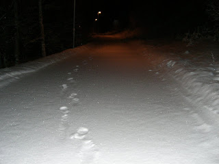 CIMG6431 - Pulspromenad i snö