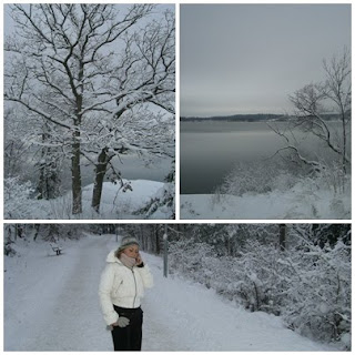 julpromenad - Vintervit julpromenad