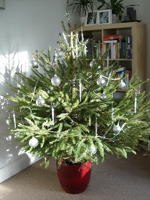 CIMG6569 - Varmare klimat i England