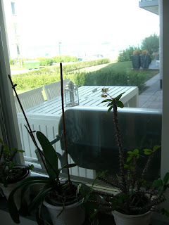 Soligt+ute - Dagen idag är en solig och ledig söndag