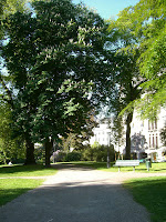 Vackert+v%C3%A4der+p%C3%A5+promenaden - Sommar i luften och på promenaden