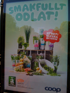 ekologiskt+odlat+Smaka+p%C3%A5+Stockholm - Smaka på Stockholm med fokus på ekologisk mat