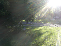 CIMG8578 - Solig morgon och hård konditionsträning