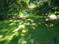 CIMG8580 - Solig morgon och hård konditionsträning