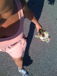 Promenad+003 - Skön kvällspromenad avklarad