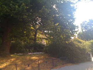 Soligt+003 - Ännu en solig och vacker morgon