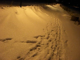 Pulsa%2Bi%2Bsn%25C3%25B6%2B%25C3%25A4r%2Bbra%2Bmotion - Att pulsa i snö är bra träning