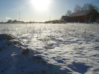 Vinterdag%2Bsoligt%2Boch%2Bvackert%2B1 - En solig vinterdag avslutades med härlig träning
