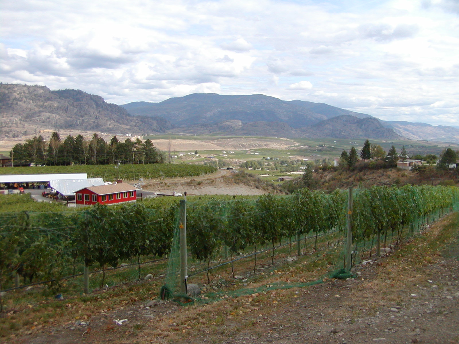 Following the Fosters to Canada 2010 Oliver, BC and the Hedley Mine Tour