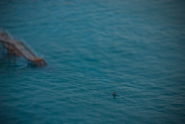 [554981264497490.jpg]