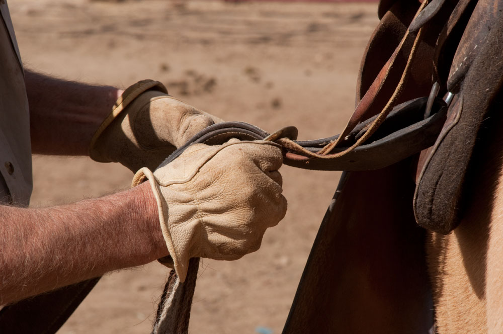 Russell B. Hunston Central Oregon Professional Horse Trainer 541