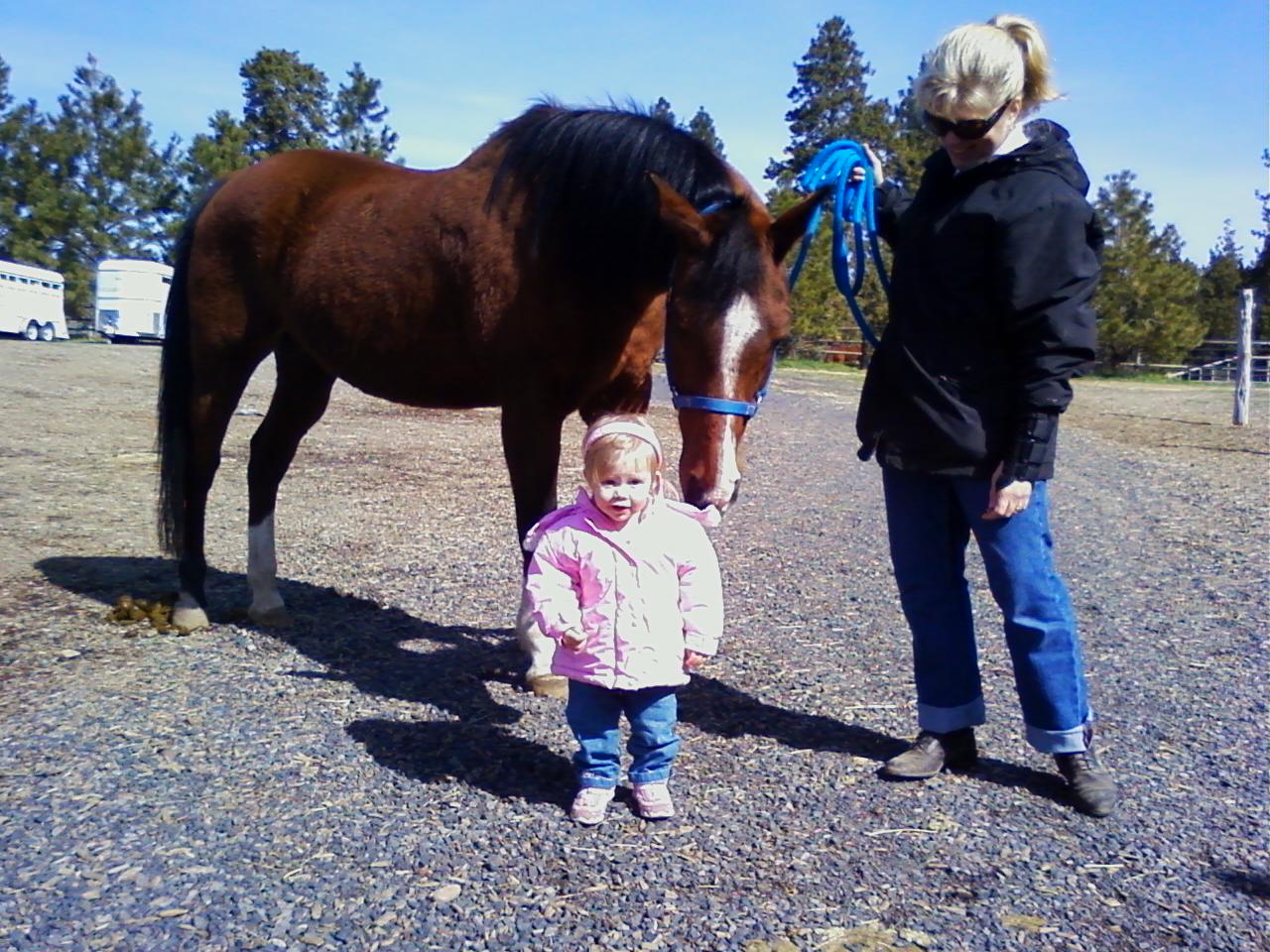 Russell B. Hunston Central Oregon Professional Horse Trainer 541