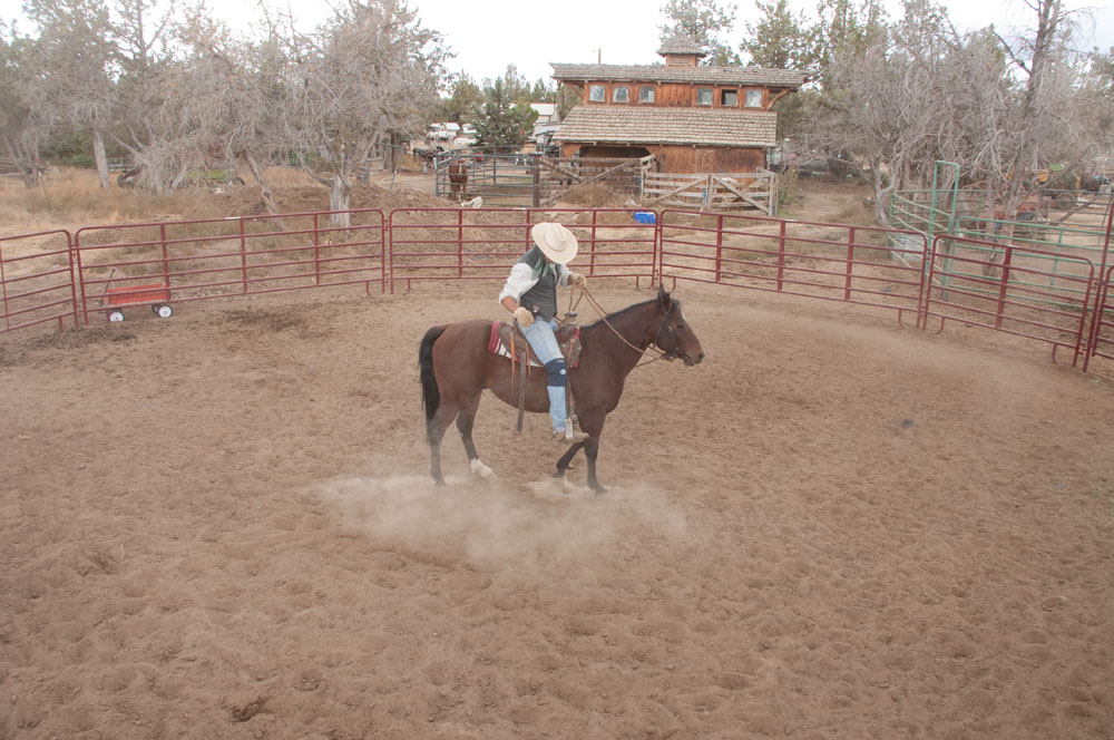 Russell B. Hunston Central Oregon Professional Horse Trainer 541