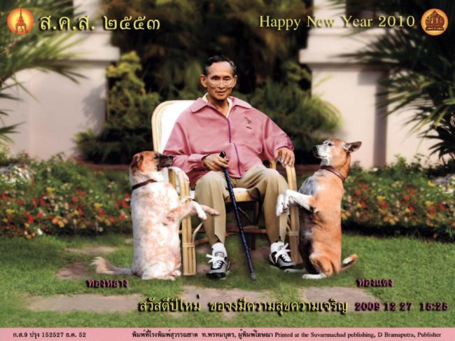 [post-305-126244061053_thumb.jpg]