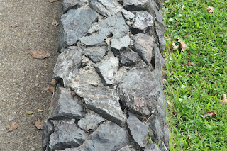 YRADDARKPWINCESS: elements of photography