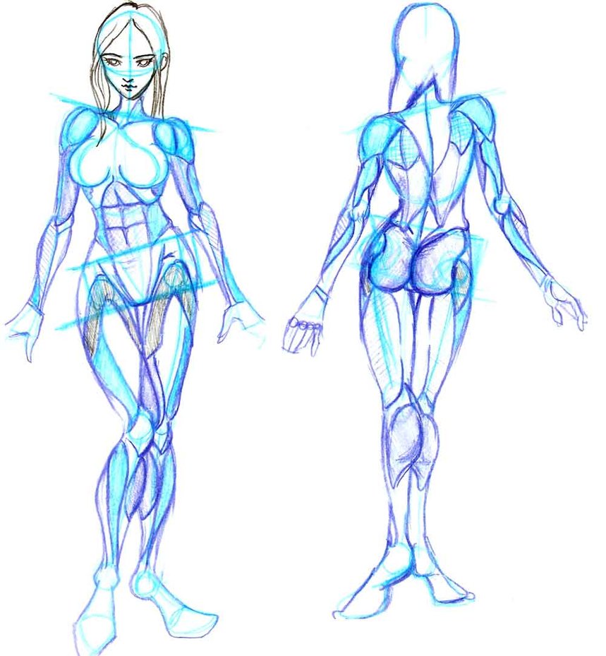 Desenhando o corpo humano fazendo poses usando peças tridimensionais – Blog  da AreaE