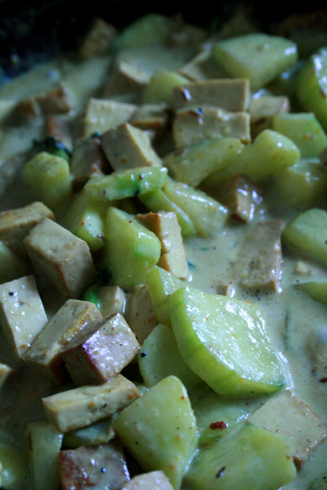 curry coco de tofu aux concombres recettes dessert crème de fraises au tofu de mon amie Nicole