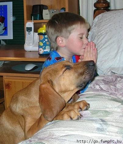 [boy+dog+praying.bmp]