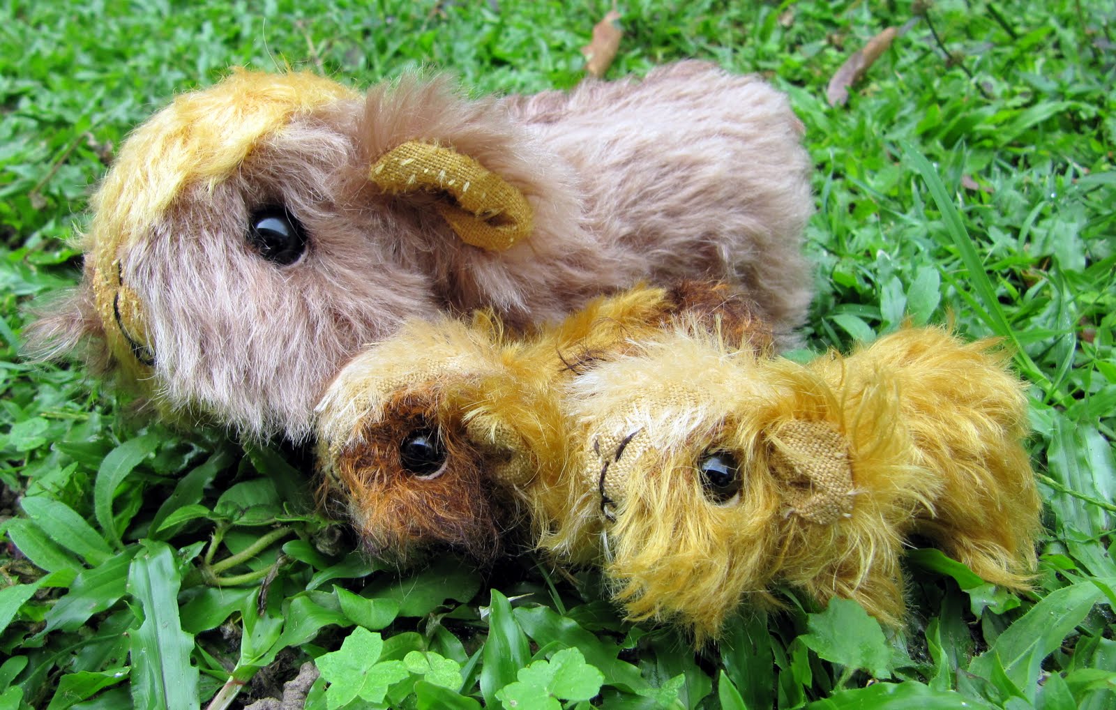 The Inner World of Emma's Bears New Guinea Pig Family Cherry and babies