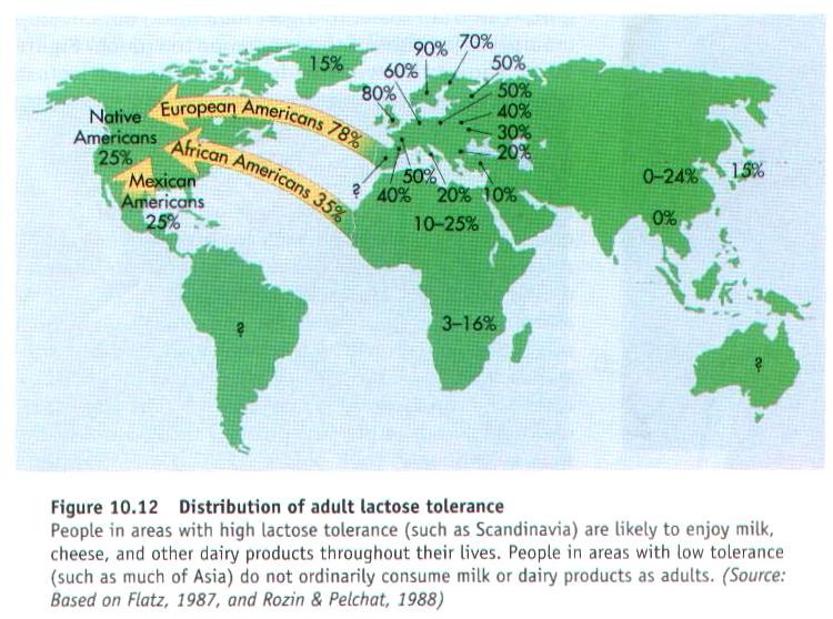 [lactose+tolerance.JPG]