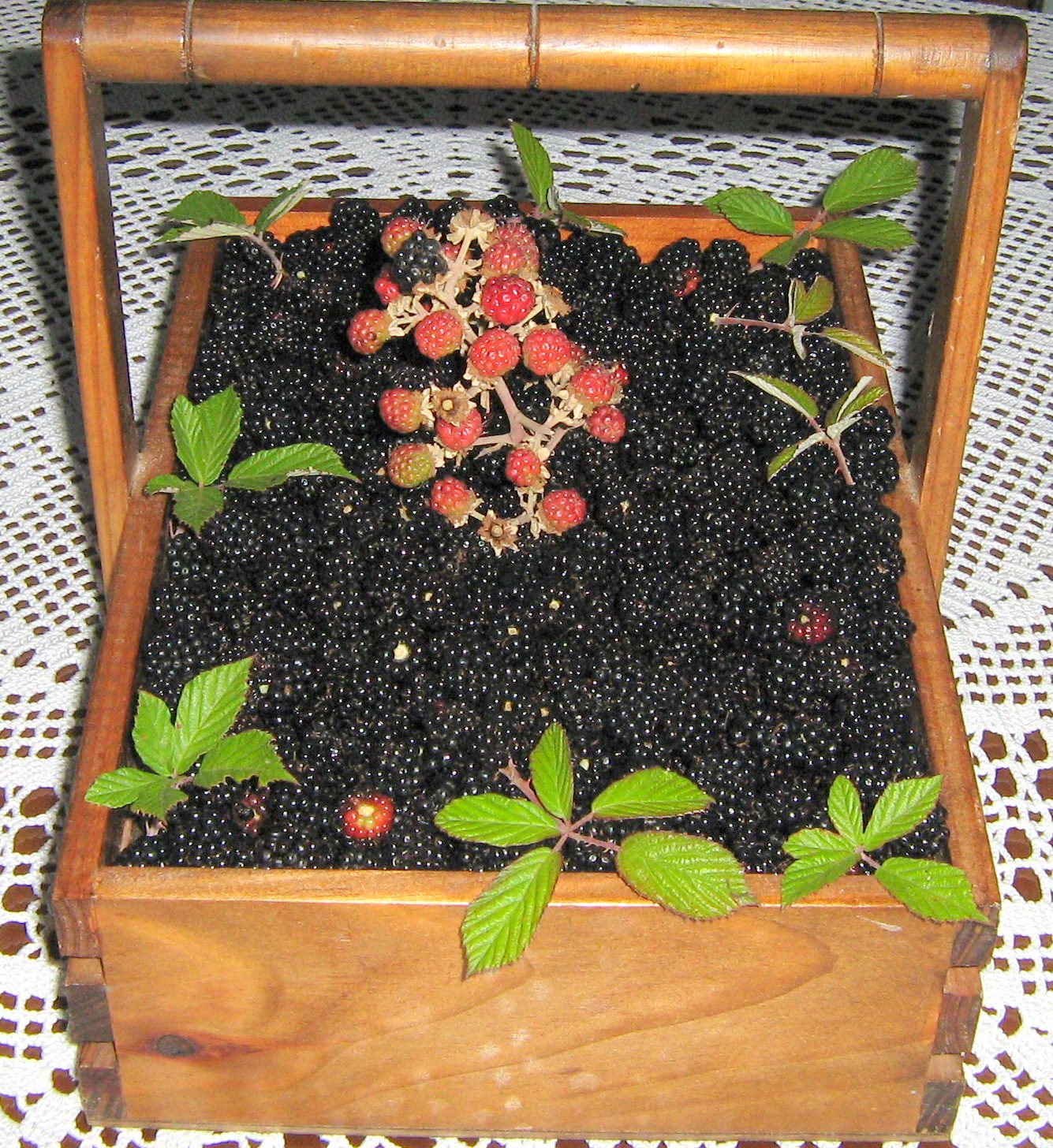 [comida+boa+512.jpg]