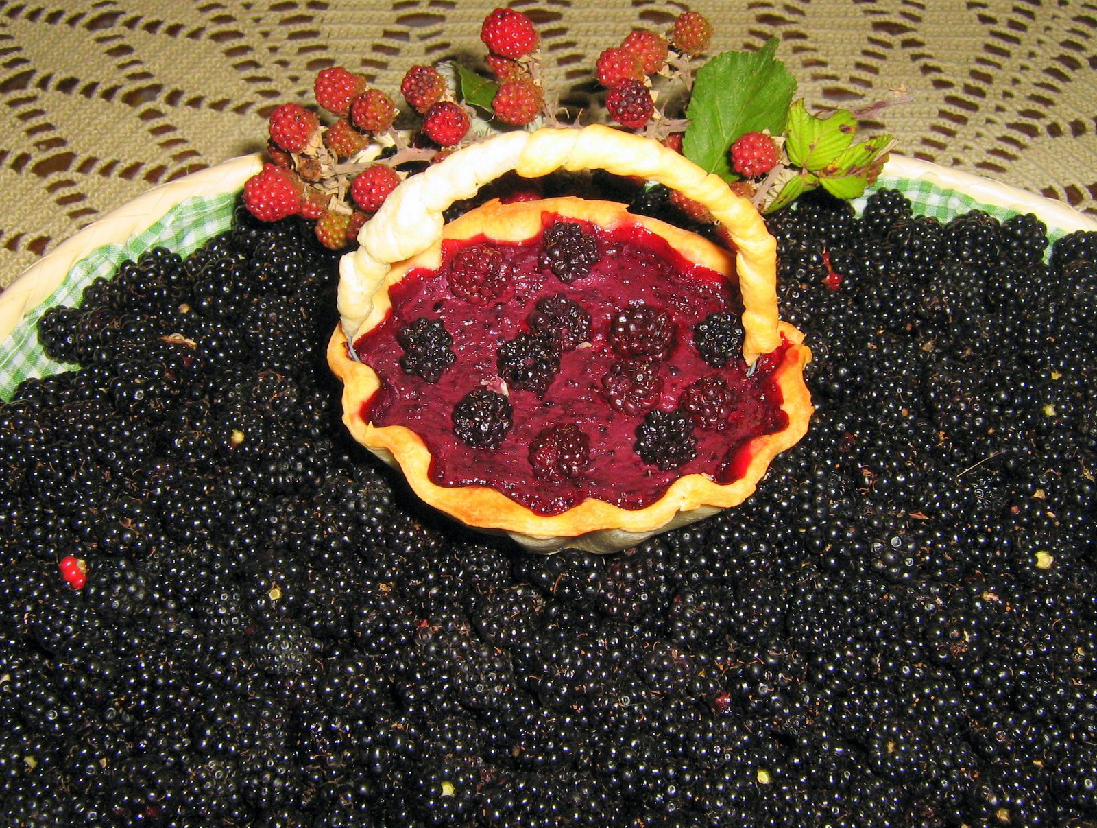 [comida+boa+573.jpg]