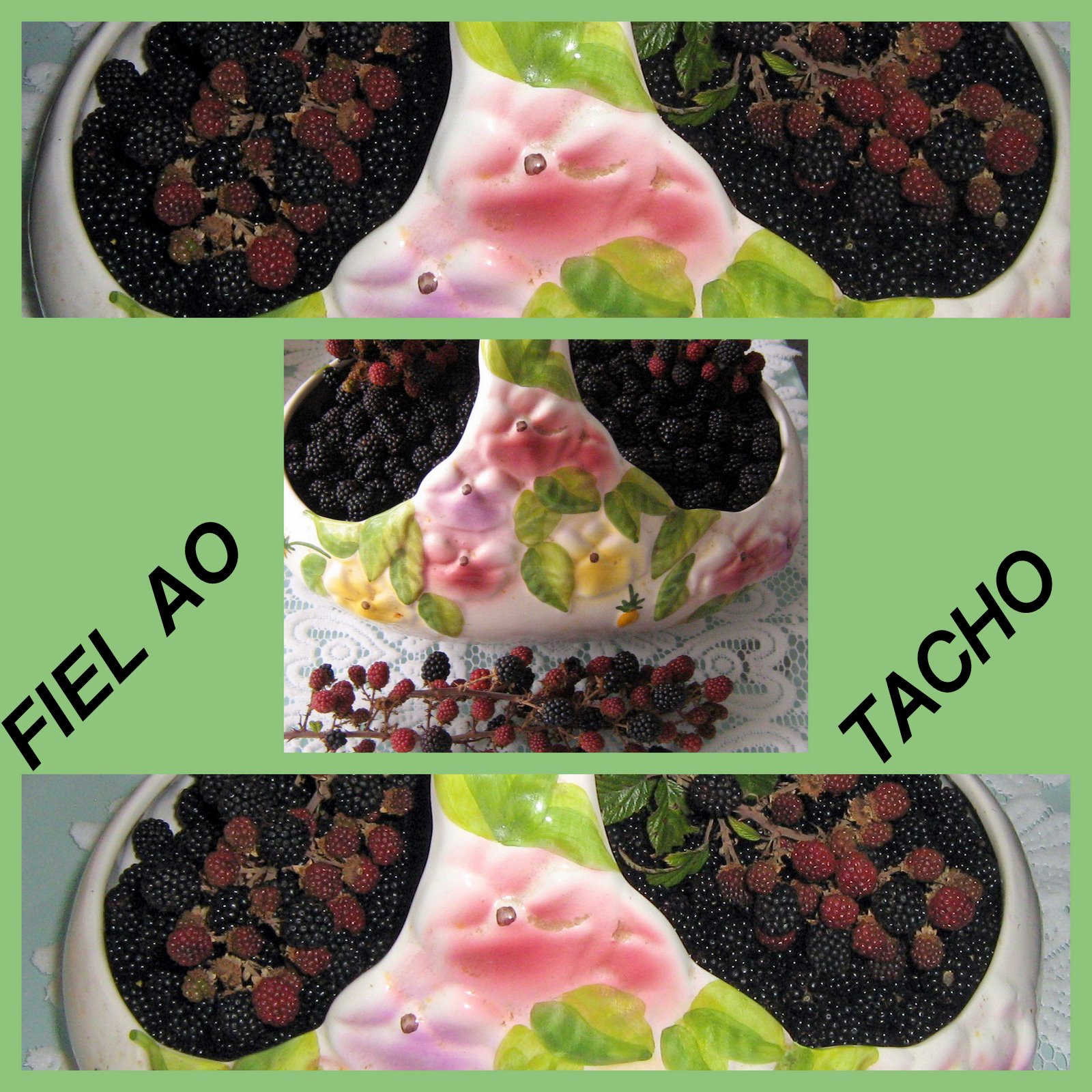 [COMIDA+MAIS+QUE+BOA.jpg]