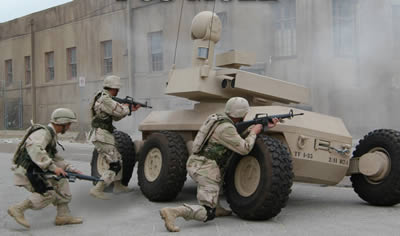 [mule1.jpg]