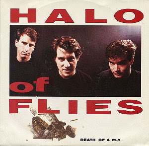 Halo of Flies Death of A Fly 7-inch cover