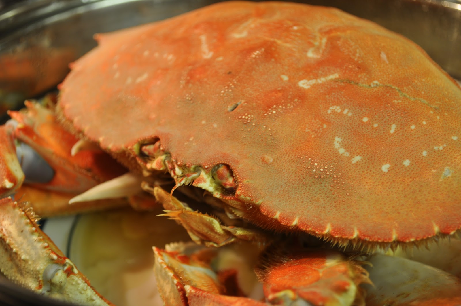 Food Pandora Mr. Sebastian Black Pepper Crab