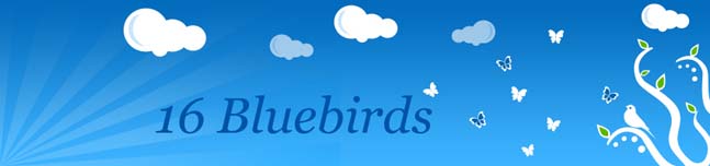 16 Bluebirds