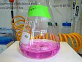 Titration