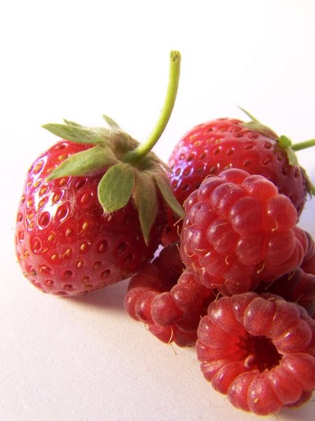 [fraises.jpg]