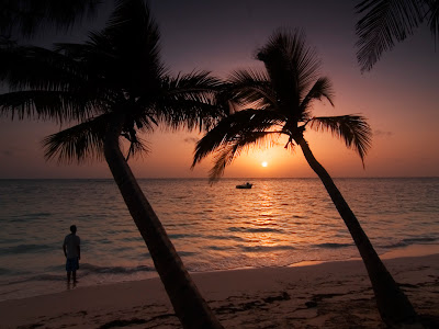 SUNSET WITH PALM TREES