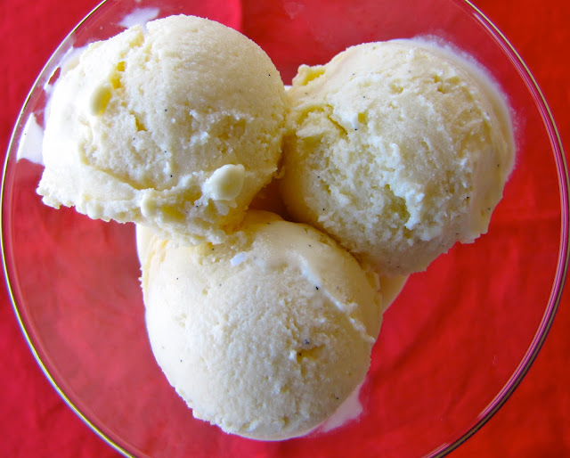 Susi's Kochen Und Backen Adventures David Lebovitz's Vanilla Ice Cream