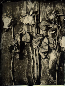 Alex Timmermans Collodion Ambrotype wet plate Photography: Wetplate ...