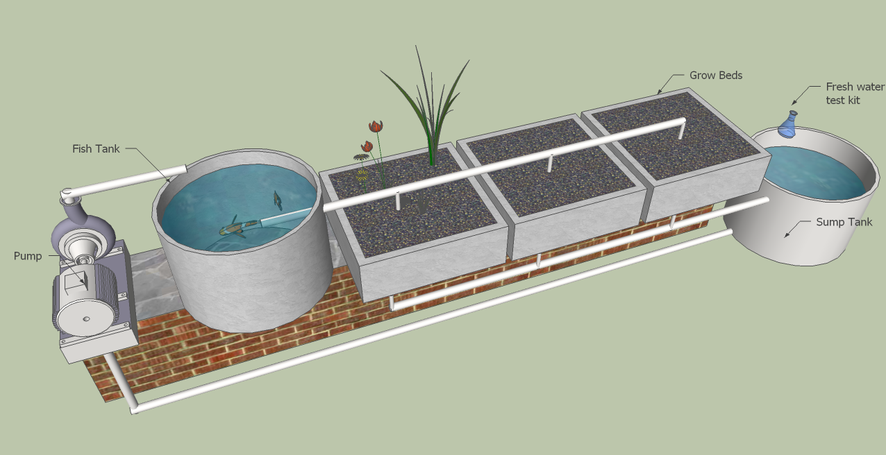 Aquaponics in Auroville How it works