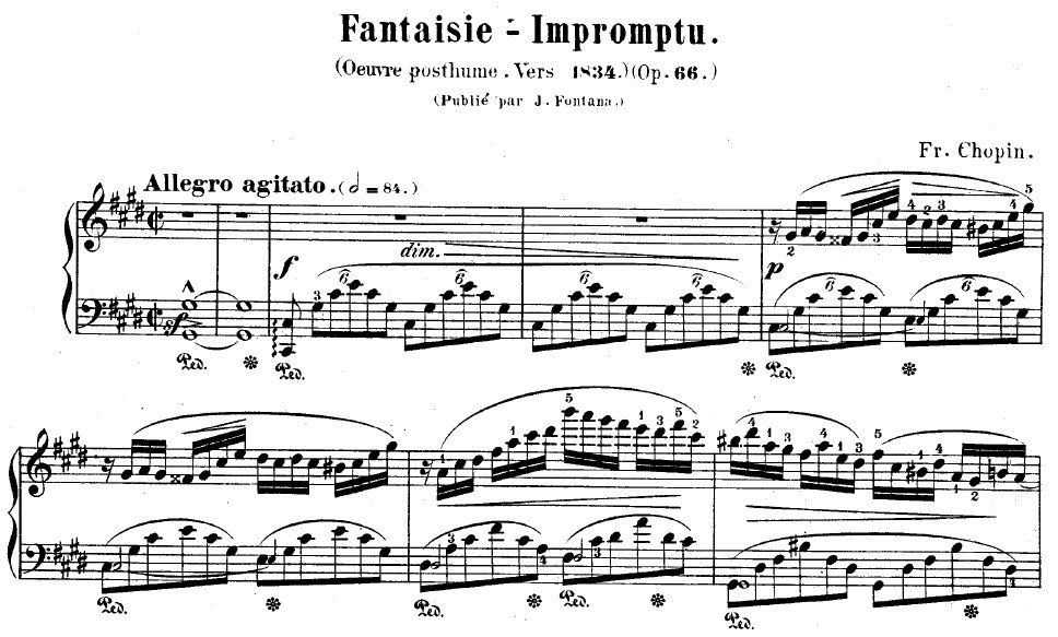 [CHOPIN+fantasia.jpg]