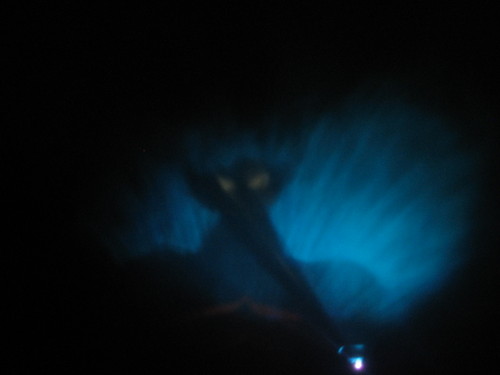 [Night+in+the+Bald+Mountain.jpg]