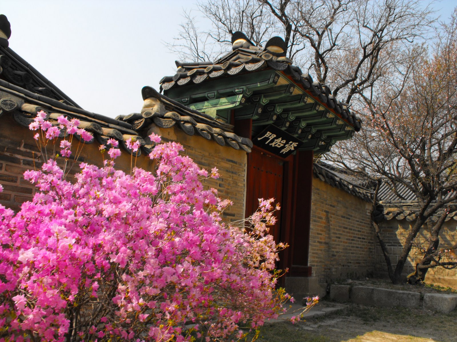 Destination: Changdeokgung (palace) and Biwon, the Secret Garden - South Korea -