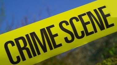 David Barnard Crimial History