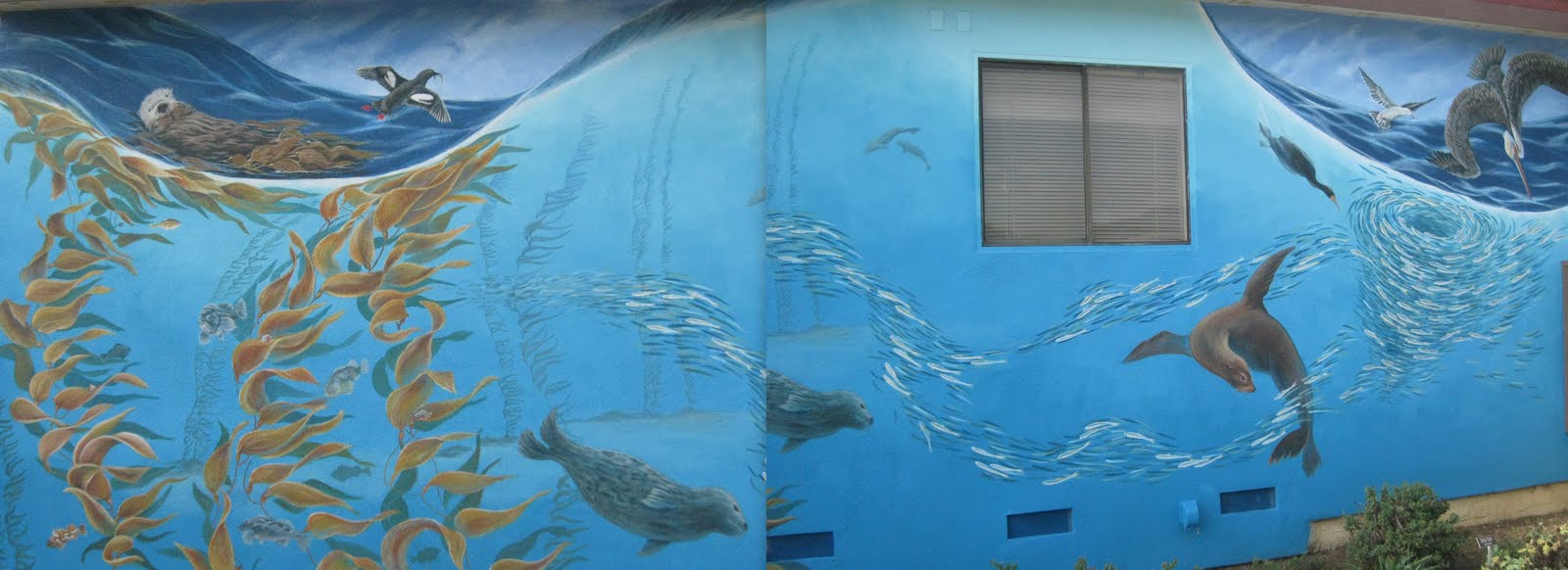 Hummingbird House San Simeon Tide Pools