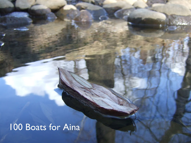 100 Boats for Aina